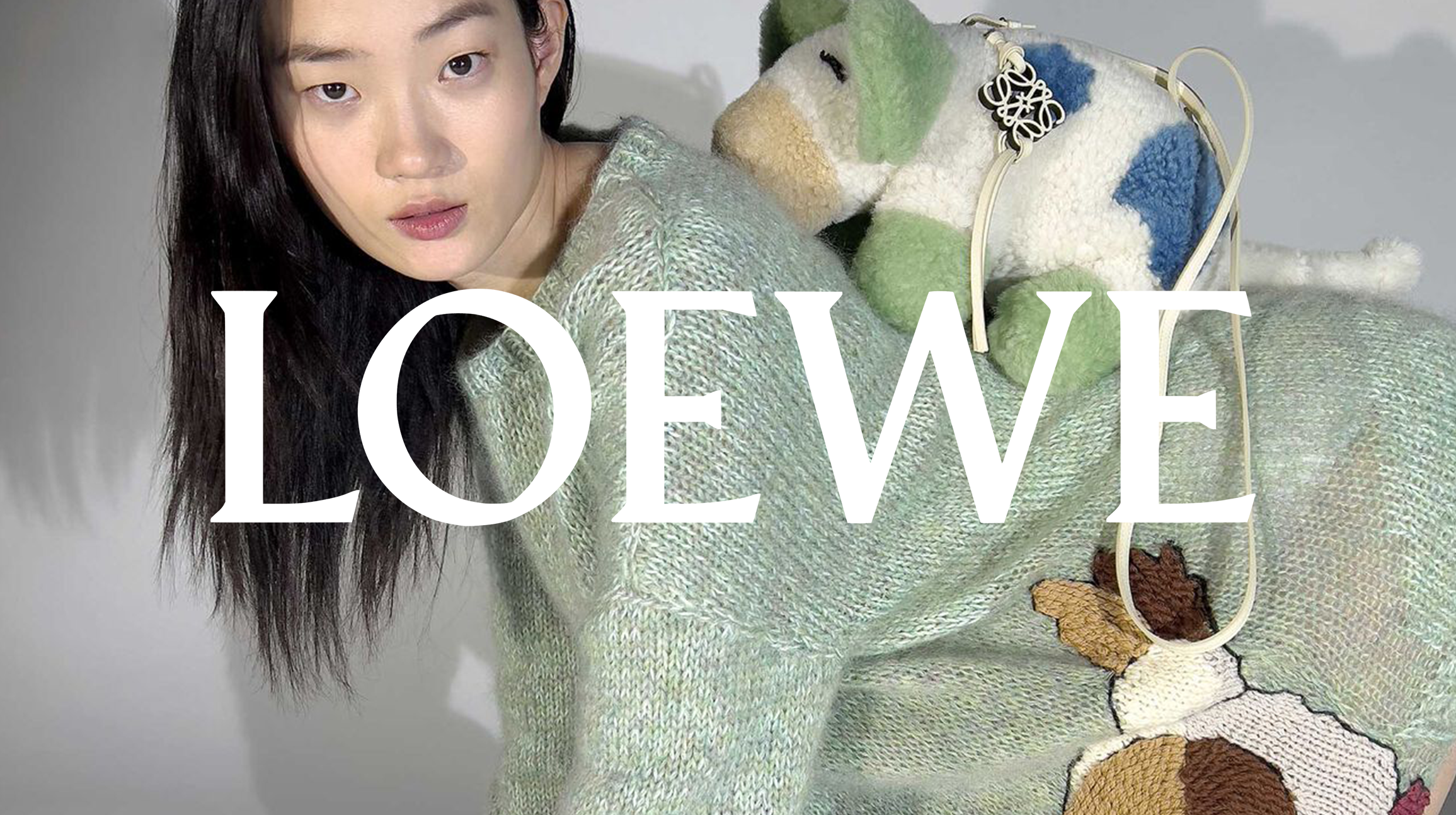 Loewe x Studio Ghibli